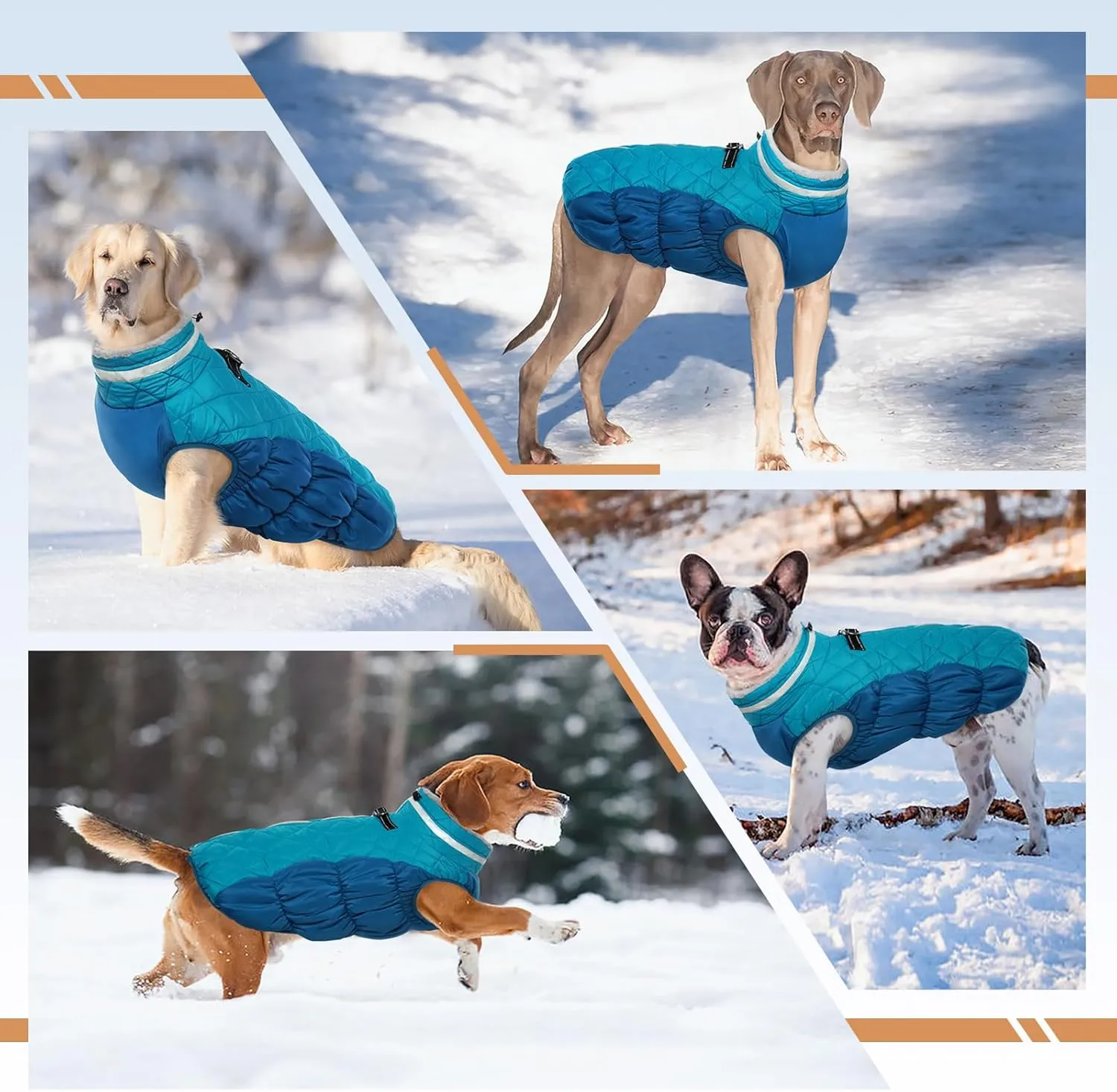 Dog Jackets for Medium Dogs,Medium Dog Coat,Warm Pet Winter Coat Zip Up Back,Waterproof Dogs Jacket with D-Ring,Pet Cold Weather Coats with Fleece Lined, Snowsuit Pug Boston Terrier,M