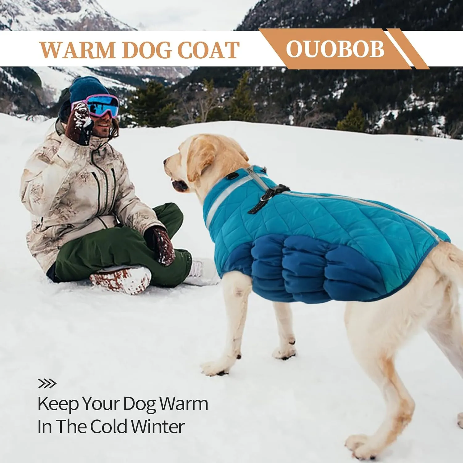 Dog Jackets for Medium Dogs,Medium Dog Coat,Warm Pet Winter Coat Zip Up Back,Waterproof Dogs Jacket with D-Ring,Pet Cold Weather Coats with Fleece Lined, Snowsuit Pug Boston Terrier,M