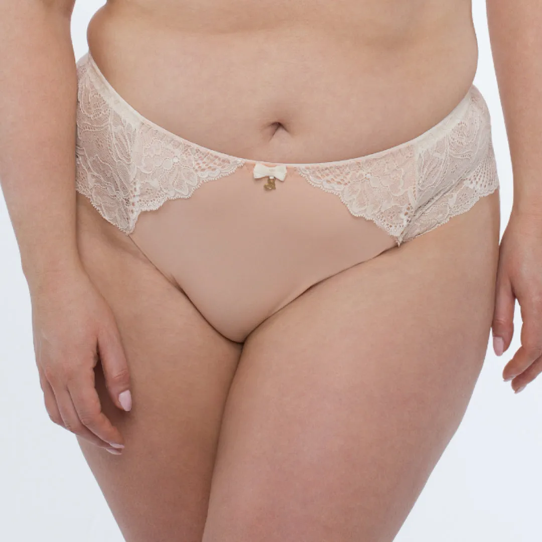 Sheer Mesh Tulle Embroidered Brief Panty Anabelle